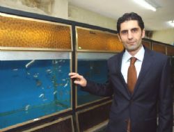 A.Ü'de akvaryum balıkçılığı atılımı